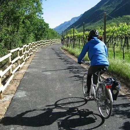 Al Museo Rivoli Veronese